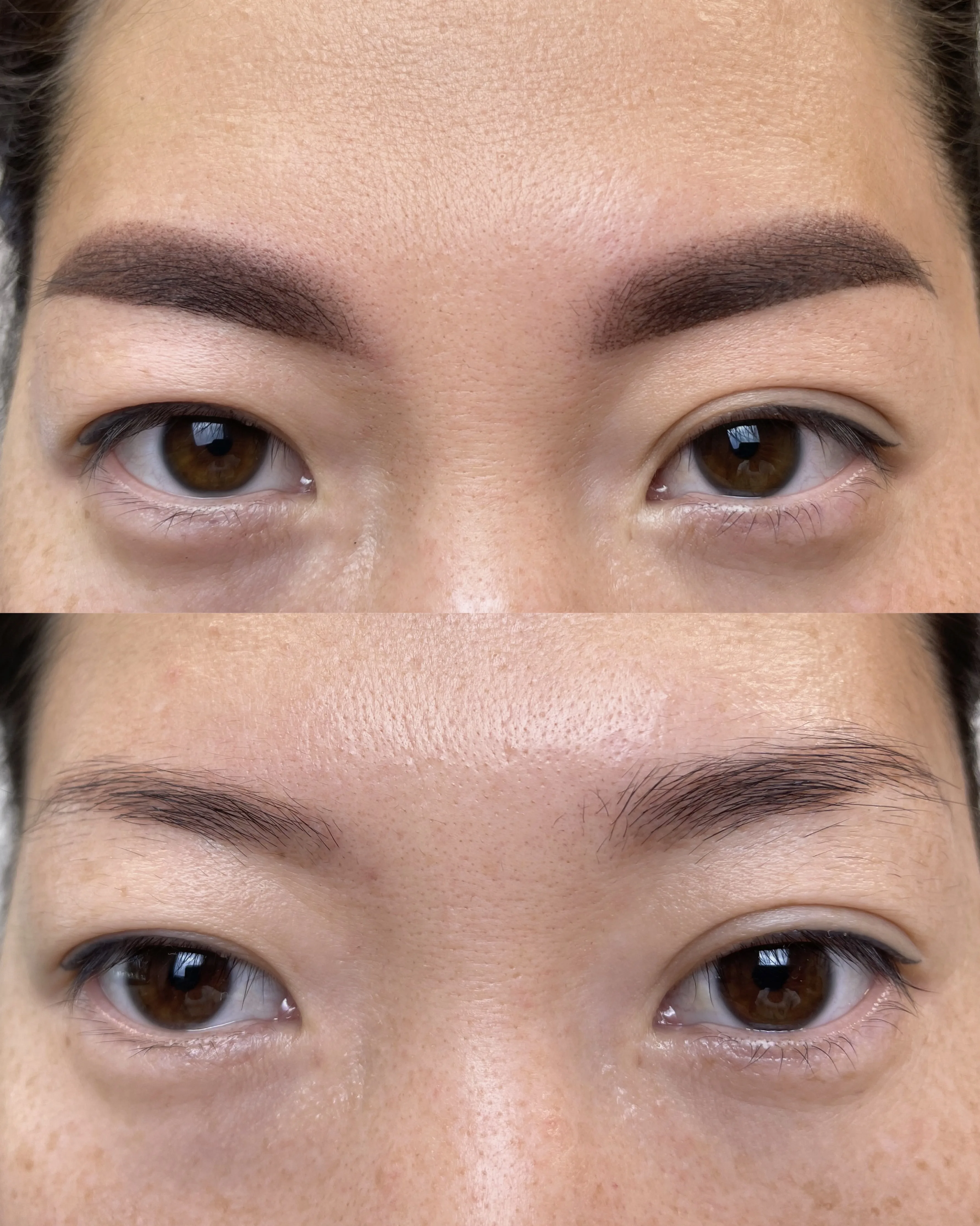 Sourcils poudrés harmonie du visage